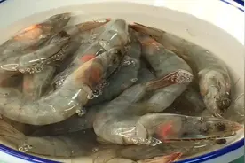 农村大妈教你在家做麻辣虾锅，不煮不蒸，出锅鲜香入味，全家爱吃