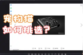 十盏灯声卡-调试开播SAM教程视频封面