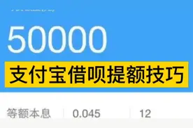 支付宝再次确认，花呗借呗提额方法公开，手把手教你涨额度！视频封面