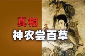 神农尝百草的真相 内观学内证观察中医药大学针灸呼吸法门经络视频封面