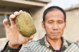 农民找专家鉴定“猪宝”被骗4万元，估价300多万两年没卖出去视频封面