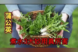 蒲公英煮水原来价值那么高，80岁老奶奶教我一招，3大妙用厉害了视频封面
