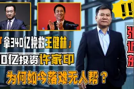 张近东背后最强大佬，拿340亿救王健林，投200亿与许家印喝交杯酒视频封面