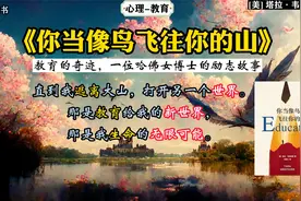 《你当像鸟飞往你的山》：教育的奇迹，一位哈佛女博士的励志故事视频封面
