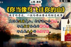 《你当像鸟飞往你的山》：教育的奇迹，一位哈佛女博士的励志故事视频封面