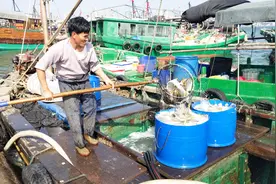 广东最大的海鲜出产地，商版一天都赚好几万，年出入几百万真牛视频封面