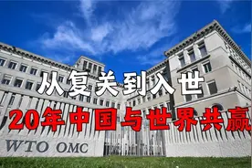 与世界共舞的20年：从复关到入世，中国突破西方游戏规则与世共赢视频封面