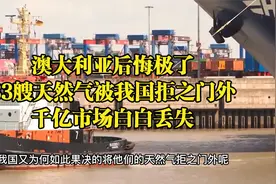 澳大利亚后悔极了！33艘天然气被我国拒之门外，千亿市场白白丢失视频封面