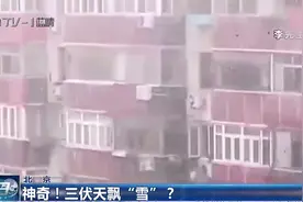 神奇！北京一市民拍下三伏天飘“雪”，专家揭秘：它是霰视频封面