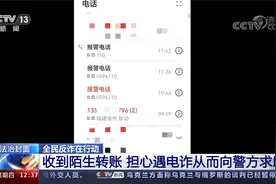 诈骗电话不接就行?轰炸十几遍还发蹊跷短信 女子不敢接警察接了…