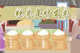米的种类有很多，怎么分清粳米？粳米有哪些营养？来看看吧视频封面