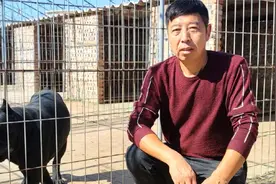 凶狠、勇猛大型护卫犬卡斯罗，在这里变成绵羊，主人敢抢它的食物视频封面