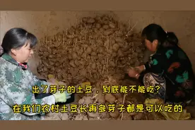 发了芽的土豆能吃吗？土豆发了芽，在我们农村是可以正常吃的