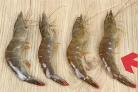 才了解，虾身上这4个部位藏有大量寄生虫，幸亏海鲜店老板提醒我视频封面