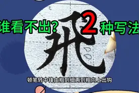 书法练字就用水写布，不一样写法，写好飞字第2种可以出师了视频封面
