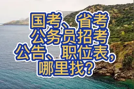 国考、省考公务员招考公告和职位表哪里找？一个视频学会！视频封面