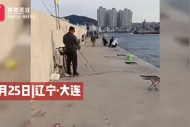 你瞅啥 梅花鹿漫步大连海滩瞅谁不顺眼就用鹿角顶视频封面