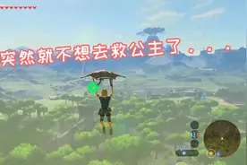 史上最好玩的游戏支持VR了！终于可以身临其境体验荒野之息了！视频封面