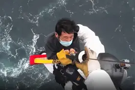 货船进水致3人遇险，珠海救助直升机紧急出动视频封面