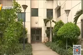 小区惊现眼镜蛇物业却不以为然？执法局现场责令限期整改