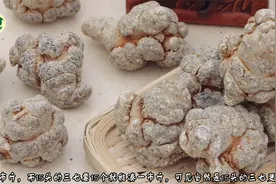 多少个头的三七好？三七都有几个头？这种问法对吗？视频封面