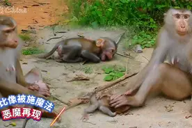 利比像被施了魔法，拒小彩虹千里之外，恶魔再次附身