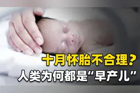 十月怀胎是早产儿？人类妊娠期本应为21个月，十月怀胎不合理？视频封面