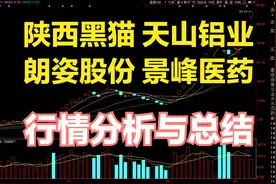 陕西黑猫、朗姿股份、天山铝业、景峰医药行情分析与总结视频封面