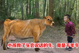 故事：小孩救了头会说话的牛，不料竟是牛神仙，为报恩送小孩宝物视频封面
