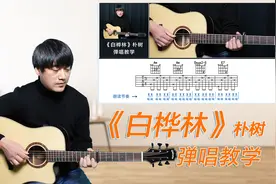 吉他弹唱演示及教学《白桦林》朴树 酷音小伟吉他弹唱教学