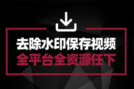 无水印保存网页视频 嗅探网页媒体资源 有它一个工具就够了