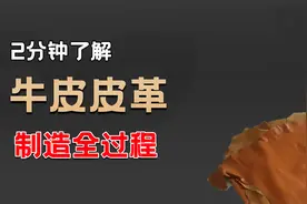 牛皮皮革是怎么制造的？从一张新鲜的牛皮开始，制作皮革真不简单视频封面