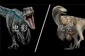 【电影与现实】浅谈侏罗纪系列恐龙与现实原型的差异【02】