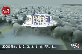 蒙古国捐赠中国的3万只羊已经赶过境？官方：假的！还在商洽阶段视频封面