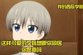这样可爱的小学妹想跟你同居你愿意吗，男主当然义正言辞地拒绝了视频封面