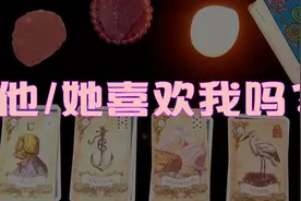 【Sumire占卜屋】他/她喜欢我吗？视频封面