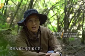 小伙致力于研究鸟类、兽类，被称为"动物翻译官"|五洲四海山东人视频封面