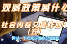 “双减”政策，到底减的是什么，全社会的内卷又是怎么回事（五）视频封面