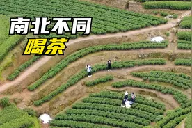 南北方喝茶方式有哪些不同？北方喝茶用大杯，南方喜欢用小杯视频封面