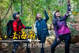 走！去海南 寻找长臂猿视频封面