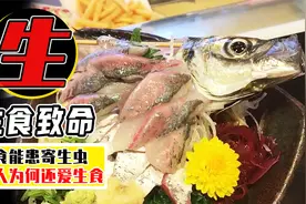 广东小伙生吃虾得肝吸虫，日本人经常吃刺身，他们为何不怕寄生虫视频封面