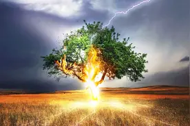 触电后人体会发生什么变化？看完这个实验，吓得直冒冷汗！