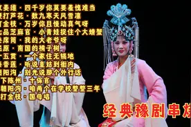 豫剧《收姜维》《鞭打芦花》《打金枝》《七品芝麻官》《卷席筒》