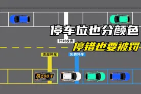 停车位不能随意乱停，车位区分也要看颜色，一不小心就会被罚！视频封面