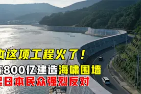 日本这项工程火了！花费800亿建造海啸围墙，却遭日本民众反对？视频封面
