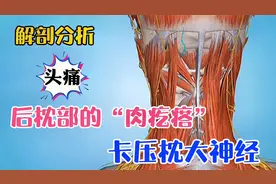 偏头痛？后脑勺疼痛？可能是枕大神经卡压，推拿按摩时需注意！
