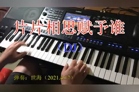 电子琴《片片相思赋予谁DJ版》视频封面