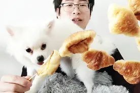 萌宠吃货，小狗狗吃羊角面包，金黄酥软麦香扑鼻这是啥太好吃了吧视频封面