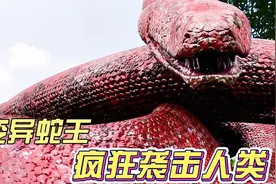 森林惊现变异蛇王，人类纷纷被吞噬，美女凭借“真实力”大战巨蟒视频封面