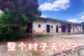 广东一个人无人村，全村看不到一个人，你敢晚上一个人住这吗？视频封面